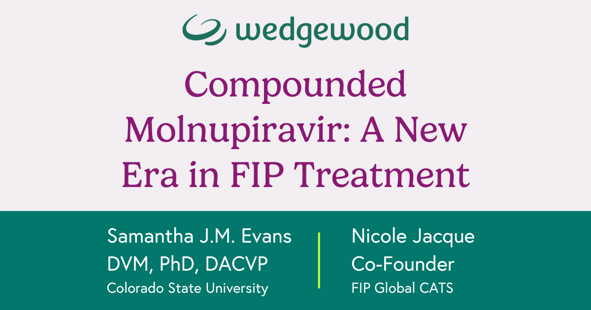 A New Era in FIP Treatment