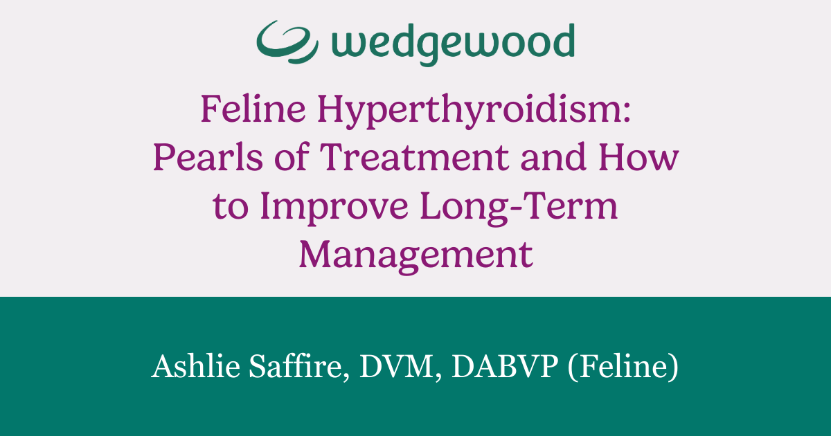 Feline Hyperthyroidism Pearls of Tratement and How to Improve Long-Term Management