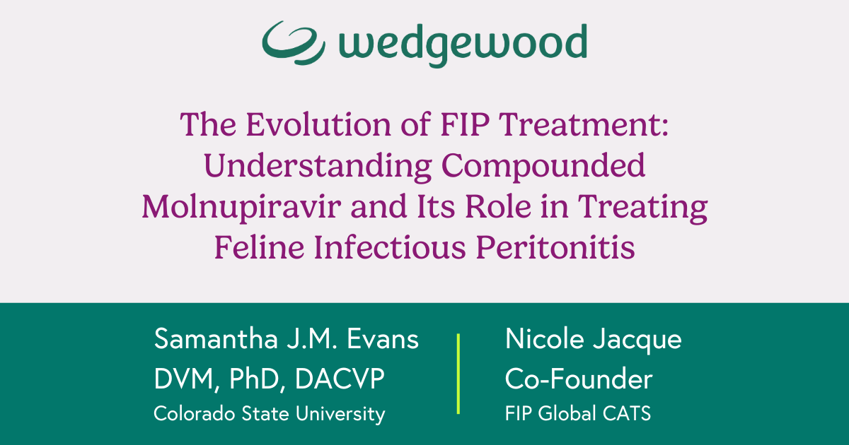 The Evolution of FIP Treatment