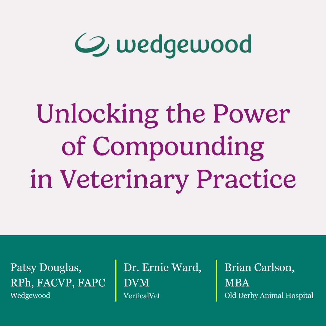 Unlocking the Power of Compounding Thumbnail (1)